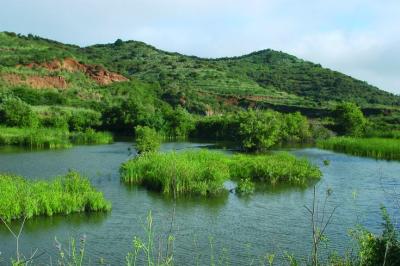 LOS HUMEDALES Y SU IMPORTANCIA ECOLÓGICA